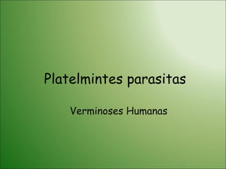 Platelmintes parasitas Verminoses Humanas 