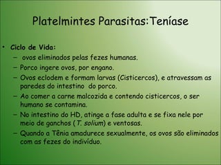 Platelmintes Parasitas:Teníase Ciclo de Vida:  ovos eliminados pelas fezes humanas. Porco ingere ovos, por engano. Ovos eclodem e formam larvas (Cisticercos), e atravessam as paredes do intestino  do porco.  Ao comer a carne malcozida e contendo cisticercos, o ser humano se contamina. No intestino do HD, atinge a fase adulta e se fixa nele por meio de ganchos ( T. solium ) e ventosas. Quando a Tênia amadurece sexualmente, os ovos são eliminados com as fezes do indivíduo. 