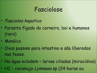 Fasciolose Fascioloa hepatica Parasita fígado do carneiro, boi e humanos (raro) Monóico Ovos passam para intestino e são liberados nas feses.  Na água eclodem – larvas ciliadas (miracídios) HI – caramujo  Lymnaea  sp (24 horas ou morre). 