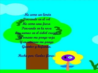Me como un limón  Pensando en el sol Me como una fresa  Pensando en la rosa Las ramas en el árbol crujen. En verano me pongo roja Y en invierno me pongo Guantes y bufanda. Hecho por: Carlos flores. 