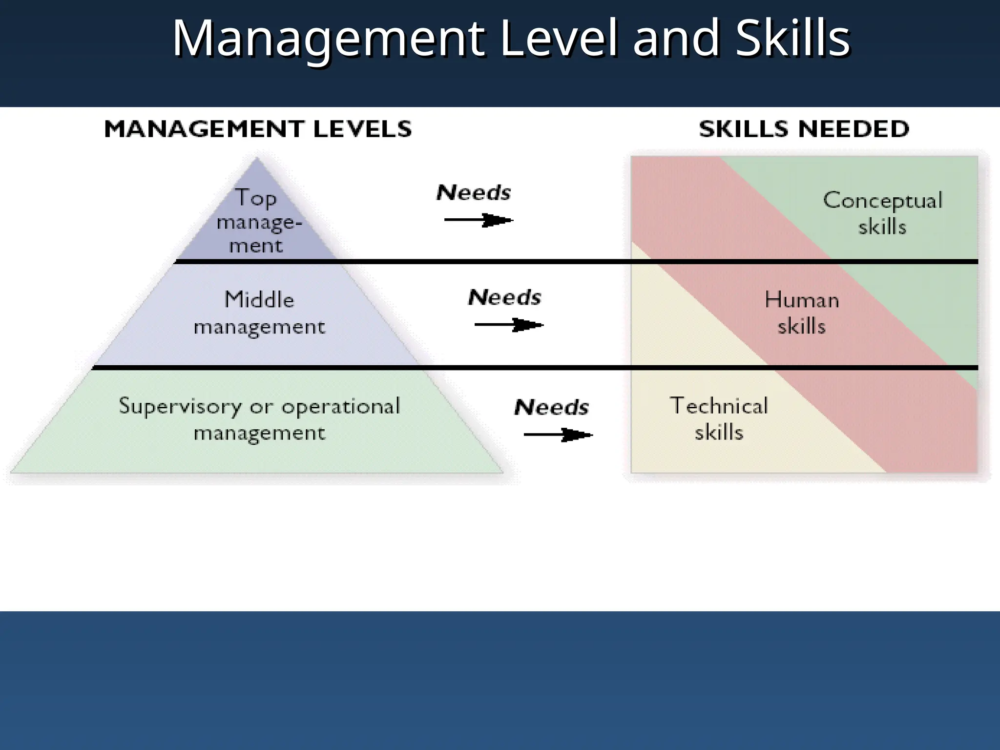 Management Level and Skills
Management Level and Skills
 