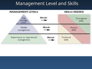 Management Level and Skills
Management Level and Skills
 