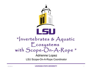 07/29/14 LOUISIANA STATE UNIVERSITY 1
“Invertebrates & Aquatic
Ecosystems
with Scope-On-A-Rope ”
Adrienne Lopez
LSU Scope-On-A-Rope Coordinator
 