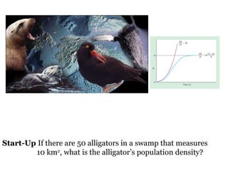 Start-Up  If there are 50 alligators in a swamp that measures  10 km 2 , what is the alligator’s population density? 