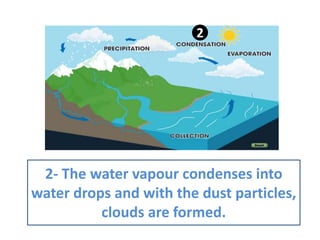 2- The water vapour condenses into
water drops and with the dust particles,
clouds are formed.
2
 