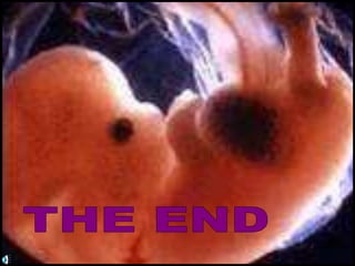 3-Prenatal-Development.ppt