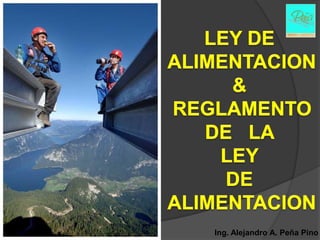 Ing. Alejandro A. Peña Pino
 