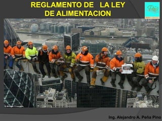 Ing. Alejandro A. Peña Pino
 