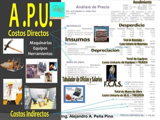 Ing. Alejandro A. Peña Pino
 