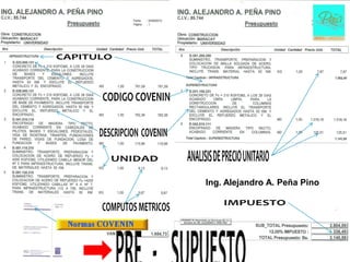 Ing. Alejandro A. Peña Pino
 