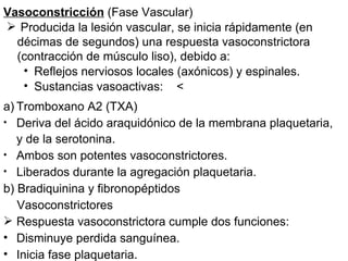Vasoconstricción  (Fase Vascular) Producida la lesión vascular, se inicia rápidamente (en décimas de segundos) una respuesta vasoconstrictora (contracción de músculo liso), debido a: Reflejos nerviosos locales (axónicos) y espinales. Sustancias vasoactivas:  <  Tromboxano A2 (TXA) Deriva del ácido araquidónico de la membrana plaquetaria, y de la serotonina. Ambos son potentes vasoconstrictores. Liberados durante la agregación plaquetaria. b) Bradiquinina y fibronopéptidos  Vasoconstrictores  Respuesta vasoconstrictora cumple dos funciones: Disminuye perdida sanguínea. Inicia fase plaquetaria. 