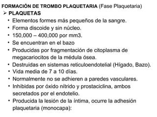 FORMACIÓN DE TROMBO PLAQUETARIA   (Fase Plaquetaria) PLAQUETAS  Elementos formes más pequeños de la sangre. Forma discoide y sin núcleo. 150,000 – 400,000 por mm3. Se encuentran en el bazo Producidas por fragmentación de citoplasma de megacariocitos de la médula ósea. Destruidas en sistemas reticuloendotelial (Hígado, Bazo). Vida media de 7 a 10 días. Normalmente no se adhieren a paredes vasculares. Inhibidas por óxido nítrido y prostaciclina, ambos secretados por el endotelio. Producida la lesión de la íntima, ocurre la adhesión plaquetaria (monocapa): 