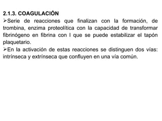 2.1.3. COAGULACIÓN Serie de reacciones que finalizan con la formación, de trombina, enzima proteolítica con la capacidad de transformar fibrinógeno en fibrina con l que se puede estabilizar el tapón plaquetario. En la activación de estas reacciones se distinguen dos vías: intrínseca y extrínseca que confluyen en una vía común. 