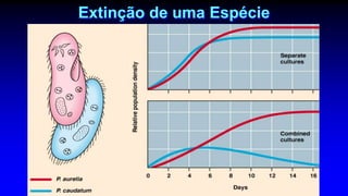Extinção de uma Espécie
 