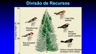 Divisão de Recursos
 
