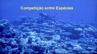 Competição entre Espécies
 