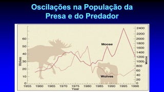 Oscilações na População da
Presa e do Predador
 