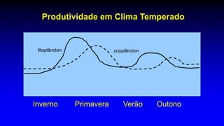 Inverno Primavera Verão Outono
fitoplâncton
Produtividade em Clima Temperado
zooplâncton
 