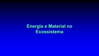 Energia e Material no
Ecossistema
 