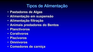 Tipos de Alimentação
• Pastadores de Algas
• Alimentação em suspensão
• Alimentação filtração
• Animais predadores do Bentos
• Planctívoros
• Coralívoros
• Piscívoros
• Omnívoros
• Comedores de carniça
 