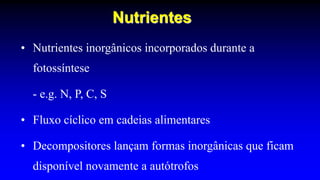 Nutrientes
• Nutrientes inorgânicos incorporados durante a
fotossíntese
- e.g. N, P, C, S
• Fluxo cíclico em cadeias alimentares
• Decompositores lançam formas inorgânicas que ficam
disponível novamente a autótrofos
 