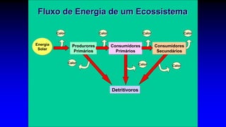 Calor
Calor
Calor
Calor
Energia
Solar
Calor
Produrores
Primários
Detritivoros
Consumidores
Primários
Consumidores
Secundários
Calor
Calor
Fluxo de Energia de um Ecossistema
 