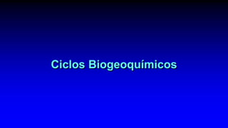Ciclos Biogeoquímicos
 