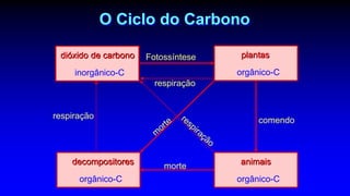 O Ciclo do Carbono
dióxido de carbono
inorgânico-C
plantas
orgânico-C
animais
orgânico-C
decompositores
orgânico-C
morte
comendo
Fotossíntese
respiração
respiração
 