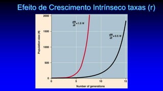 Efeito de Crescimento Intrínseco taxas (r)
 