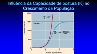 Influência da Capacidade de postura (K) no
Crescimento da População
 