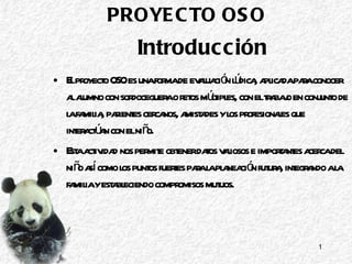 Introducción ,[object Object],[object Object],PROYECTO OSO  