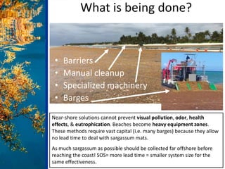 • Barriers
• Manual cleanup
• Specialized machinery
• Barges
Near-shore solutions cannot prevent visual pollution, odor, h...