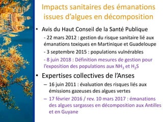 Impacts sanitaires des émanations
issues d’algues en décomposition
• Avis du Haut Conseil de la Santé Publique
- 22 mars 2...