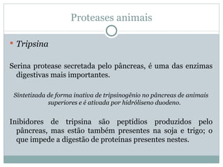 Proteases animais

 Tripsina


Serina protease secretada pelo pâncreas, é uma das enzimas
  digestivas mais importantes.

 Sintetizada de forma inativa de tripsinogênio no pâncreas de animais
             superiores e é ativada por hidróliseno duodeno.


Inibidores de tripsina são peptídios produzidos pelo
  pâncreas, mas estão também presentes na soja e trigo; o
  que impede a digestão de proteínas presentes nestes.
 