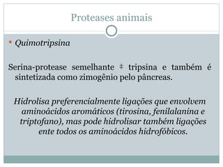 Proteases animais

 Quimotripsina


Serina-protease semelhante à tripsina e também é
 sintetizada como zimogênio pelo pâncreas.

 Hidrolisa preferencialmente ligações que envolvem
   aminoácidos aromáticos (tirosina, fenilalanina e
  triptofano), mas pode hidrolisar também ligações
       ente todos os aminoácidos hidrofóbicos.
 