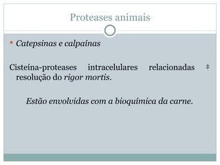 Proteases animais

 Catepsinas e calpaínas


Cisteína-proteases intracelulares   relacionadas   à
  resolução do rigor mortis.

    Estão envolvidas com a bioquímica da carne.
 