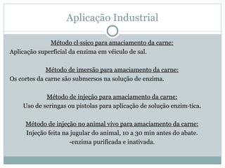 Aplicação Industrial

              Método clássico para amaciamento da carne:
Aplicação superficial da enzima em véiculo de sal.

             Método de imersão para amaciamento da carne:
Os cortes da carne são submersos na solução de enzima.

            Método de injeção para amaciamento da carne:
    Uso de seringas ou pistolas para aplicação de solução enzimática.

     Método de injeção no animal vivo para amaciamento da carne:
     Injeção feita na jugular do animal, 10 a 30 min antes do abate.
                     -enzima purificada e inativada.
 