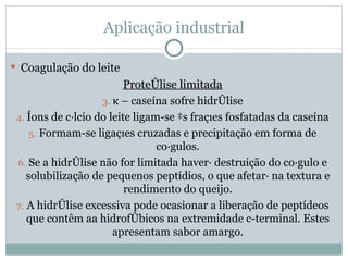 Aplicação industrial

 Coagulação do leite
                          Proteólise limitada
                    3. κ – caseína sofre hidrólise
 4. Íons de cálcio do leite ligam-se às frações fosfatadas da caseína
     5. Formam-se ligações cruzadas e precipitação em forma de
                                 coágulos.
 6. Se a hidrólise não for limitada haverá destruição do coágulo e
    solubilização de pequenos peptídios, o que afetará na textura e
                          rendimento do queijo.
 7. A hidrólise excessiva pode ocasionar a liberação de peptídeos
    que contêm aa hidrofóbicos na extremidade c-terminal. Estes
                       apresentam sabor amargo.
 