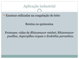 Aplicação industrial

 Enzimas utilizadas na coagulação do leite:


                Renina ou quimosina

 Proteases ácidas de Rhizomucor miehei; Rhizomucor
  pusillus, Aspergillus oryzae e Endothia parasitica.
 