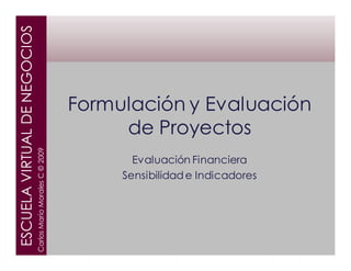 ESCUELA VIRTUAL DE NEGOCIOS




                                                              Formulación y Evaluación
                                                                   de Proyectos
                              Carlos Mario Morales C © 2009




                                                                     Evaluación Financiera
                                                                   Sensibilidad e Indicadores
 