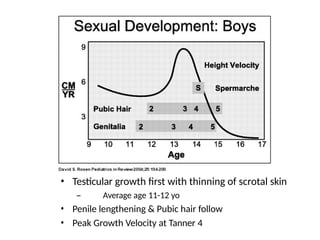 3-puberty-and-its-disorders-lowes-pptx-describes-the-features-of