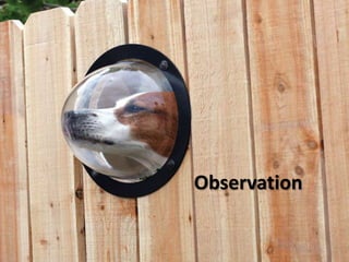 Observation
 