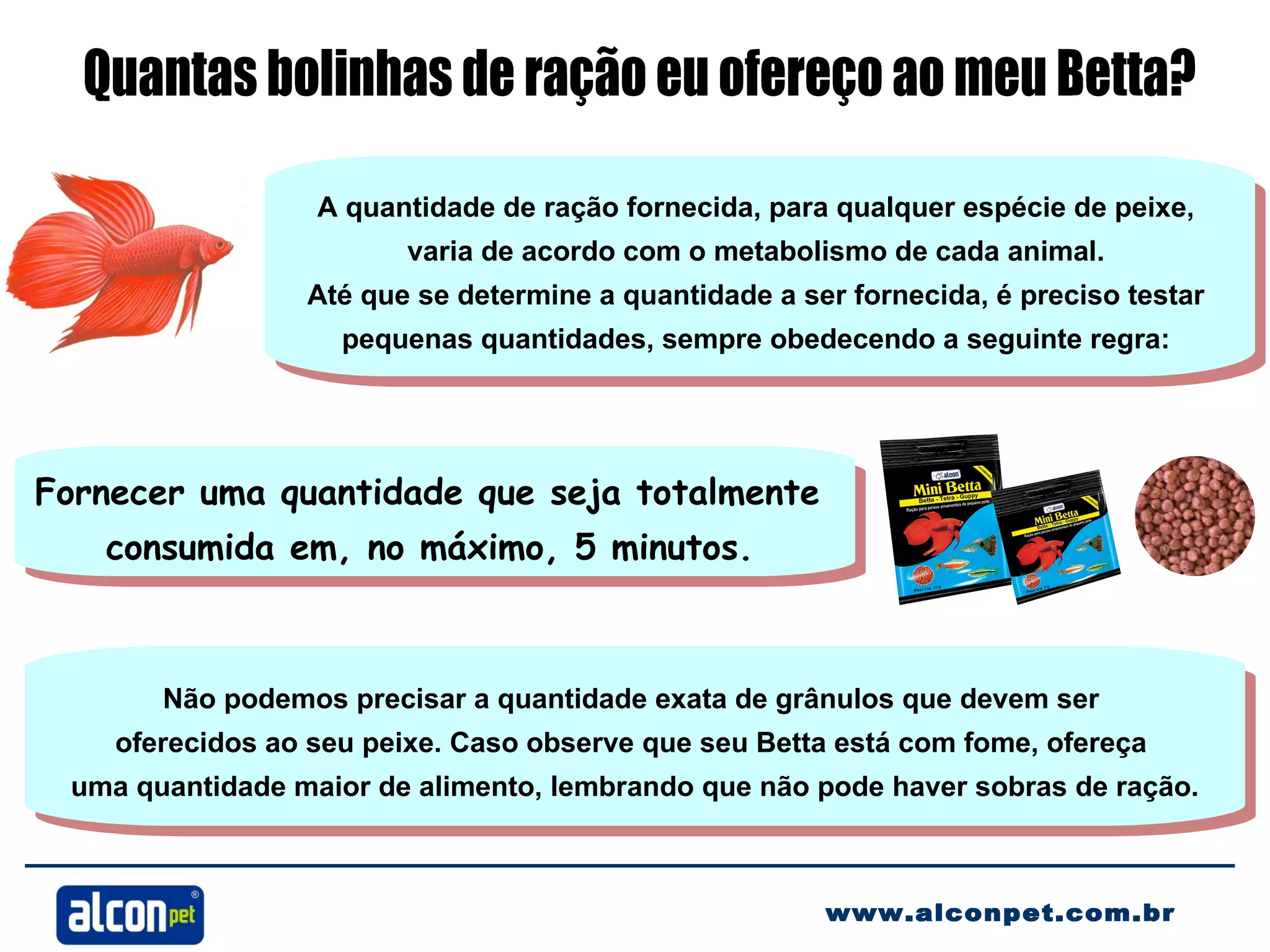 Qual é a quantidade certa de ração para Bettas? | PPT