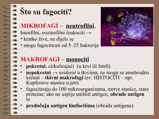 Što su fagociti?
MAKROFAGI – monociti
• pokretni, cirkulirajući (u krvi ili limfi)
• nepokretni → usidreni u tkivima, ne mogu se ameboidno
kretati – tkivni makrofagi tzv. HISTOCITI – npr.
Kupferove stanice u jetri
• fagocitiraju do 100 mikroorganizama, mrtve stanice, stare
proteine; ako ne uspiju uništiti antigen, obrade antigen
te
• predočuju antigen limfocitima (obrada antigena)
MIKROFAGI – neutrofilni,
bazofilni, eozinofilni leukociti →
• kratko žive, ne dijele se
• mogu fagocitirati od 5–25 bakterija
 
