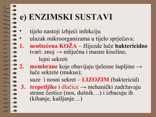 e) ENZIMSKI SUSTAVI
• tijelo nastoji izbjeći infekciju
• ulazak mikroorganizama u tijelo sprječava:
1. neoštećena KOŽA – žlijezde luče baktericidne
tvari: znoj → mliječna i masne kiseline,
lojni sekreti
2. membrane koje obavijaju tjelesne šupljine →
luče sekrete (mukus);
suze i nosni sekret – LIZOZIM (baktericid)
3. trepetljike i dlačice → mehanički zadržavaju
strane čestice (nos, dušnik…) i izbacuju ih
(kihanje, kašljanje…)
 