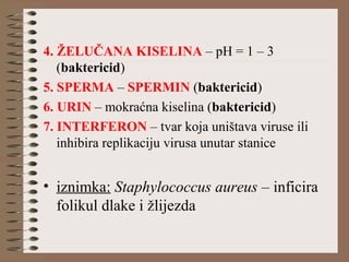 4. ŽELUČANA KISELINA – pH = 1 – 3
(baktericid)
5. SPERMA – SPERMIN (baktericid)
6. URIN – mokraćna kiselina (baktericid)
7. INTERFERON – tvar koja uništava viruse ili
inhibira replikaciju virusa unutar stanice
• iznimka: Staphylococcus aureus – inficira
folikul dlake i žlijezda
 