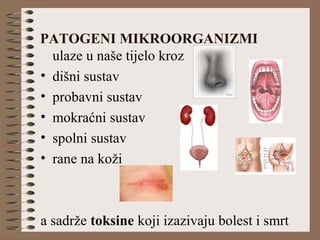 PATOGENI MIKROORGANIZMI
ulaze u naše tijelo kroz
• dišni sustav
• probavni sustav
• mokraćni sustav
• spolni sustav
• rane na koži
a sadrže toksine koji izazivaju bolest i smrt
 
