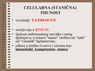 CELULARNA (STANIČNA)
IMUNOST
• izvršitelji: T-LIMFOCITI
• sazrijevaju u TIMUSU
• tijekom embrionalnog razvitka i ranog
djetinjstva, u timusu “nauče” razlikovati “tuđe”
od “vlastitih” bjelančevina
• odlaze u limfne čvorove i slezenu kao
imunološki kompetentne stanice
 