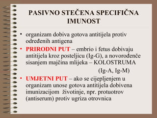 PASIVNO STEČENA SPECIFIČNA
IMUNOST
• organizam dobiva gotova antitijela protiv
određenih antigena
• PRIRODNI PUT – embrio i fetus dobivaju
antitijela kroz posteljicu (Ig-G), a novorođenče
sisanjem majčina mlijeka – KOLOSTRUMA
(Ig-A, Ig-M)
• UMJETNI PUT – ako se cijepljenjem u
organizam unose gotova antitijela dobivena
imunizacijom životinje, npr. protuotrov
(antiserum) protiv ugriza otrovnica
 
