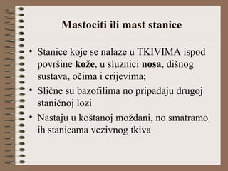 Mastociti ili mast stanice
• Stanice koje se nalaze u TKIVIMA ispod
površine kože, u sluznici nosa, dišnog
sustava, očima i crijevima;
• Slične su bazofilima no pripadaju drugoj
staničnoj lozi
• Nastaju u koštanoj moždani, no smatramo
ih stanicama vezivnog tkiva
 